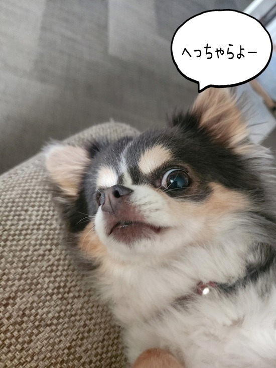 24-06-07-07-13-50-576_deco