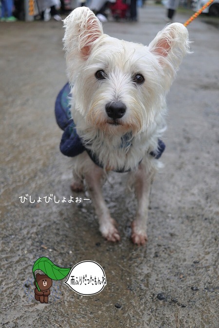 25-10-27-17-50-51-711_deco