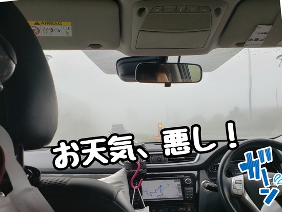 21-10-26-08-17-36-649_deco