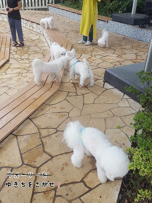 18-10-01-19-15-50-848_deco