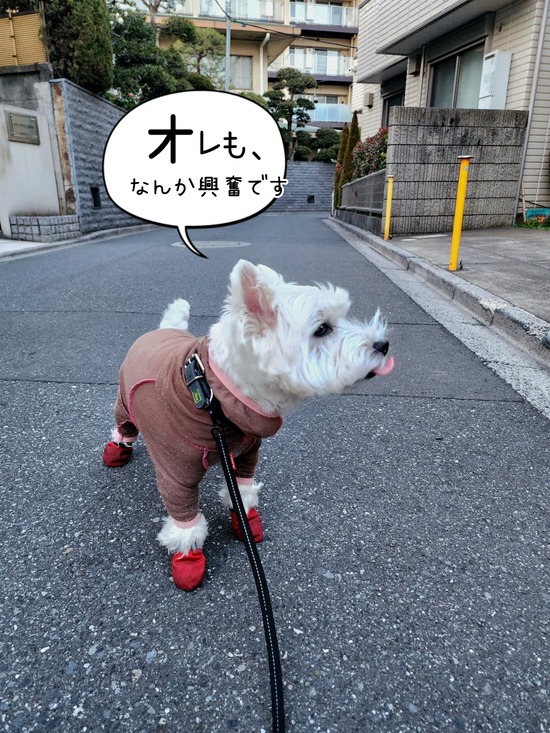 24-03-14-18-18-17-392_deco