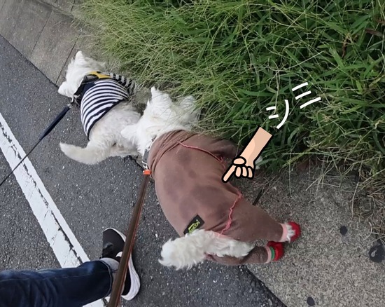 23-10-07-19-46-39-497_deco