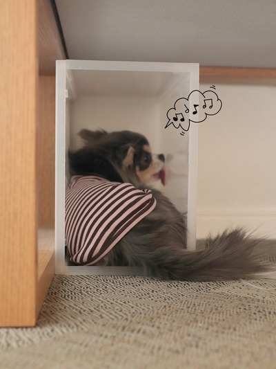 21-03-11-20-40-06-154_deco