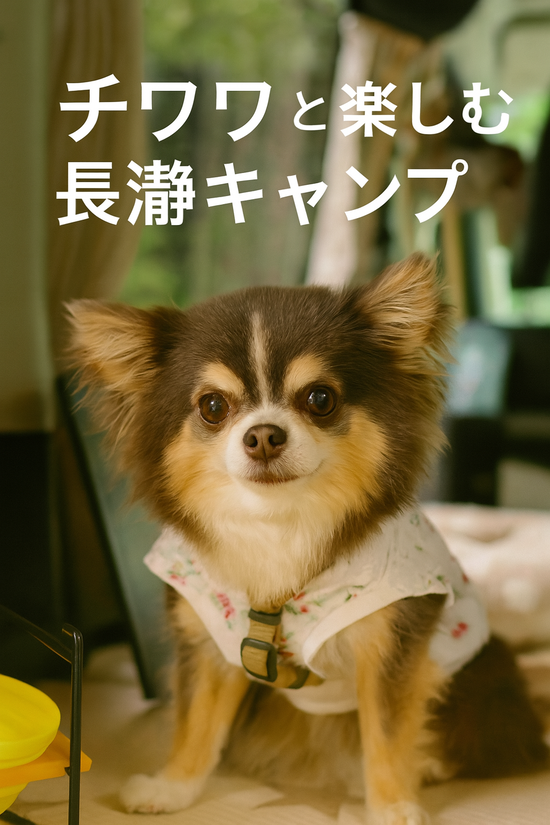 ミュージカル仲間と長瀞へ！偶然の趣味でつながる車中泊キャンプ」