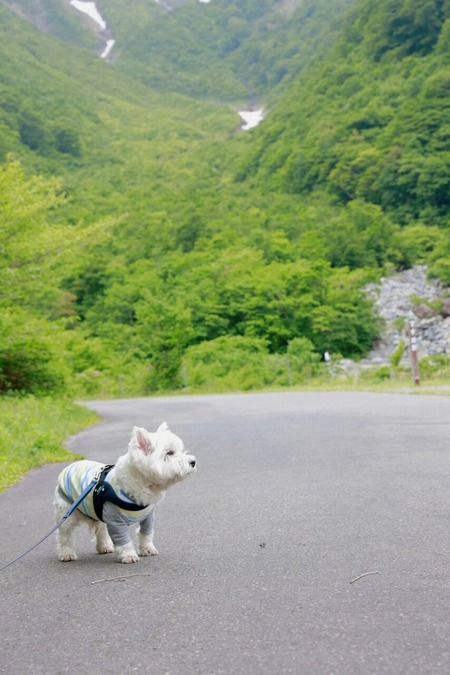 24-05-30-14-13-00-031_deco