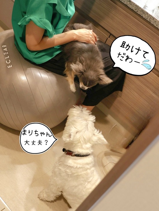 24-07-09-07-16-04-533_deco