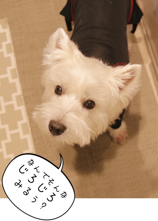 20-01-11-11-39-36-437_deco