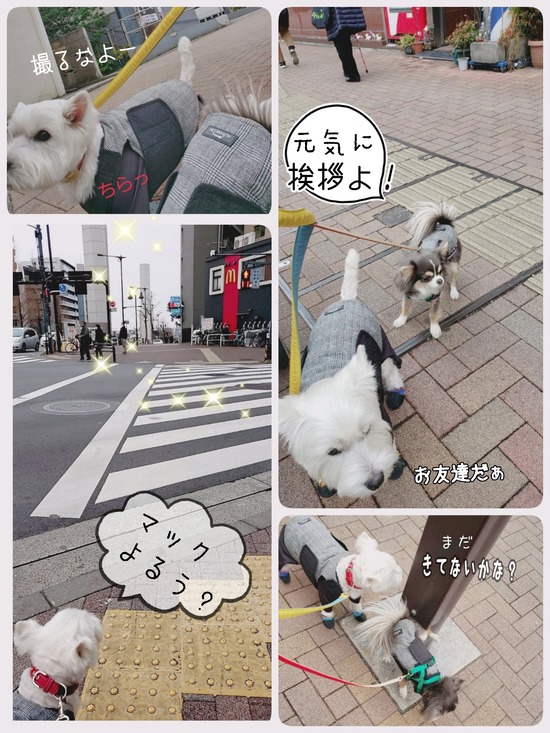 21-01-29-09-32-35-102_deco