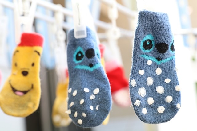 犬靴下 靴下に滑り止めを付けた結果 4 16追記しました たかシェフのおうちごはん と 白い犬 と チワワ Powered By ライブドアブログ