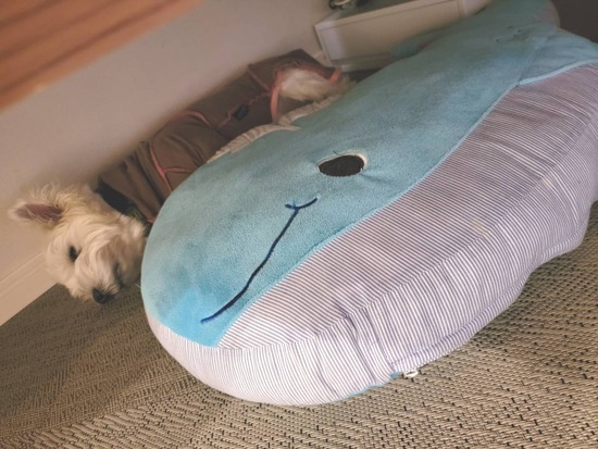 23-04-20-20-00-33-607_deco