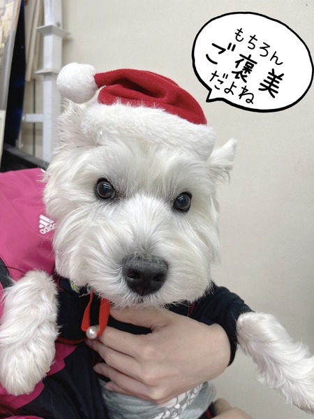 22-12-24-10-29-05-368_deco