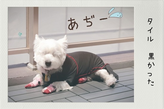 22-07-02-12-08-18-214_deco