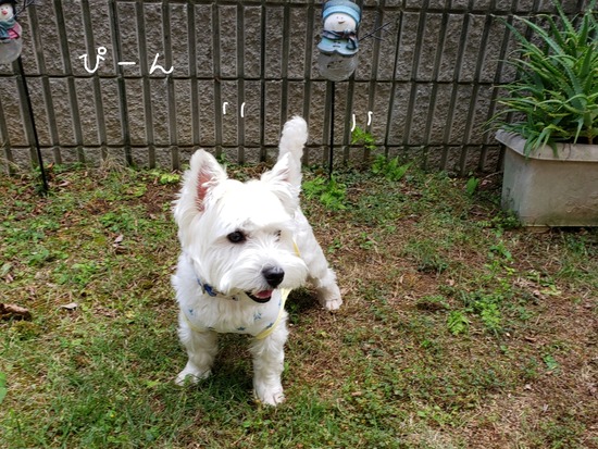 21-05-29-01-09-27-054_deco