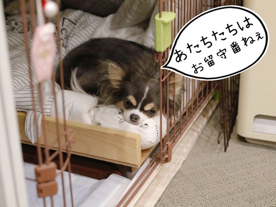 21-10-24-17-00-57-406_deco