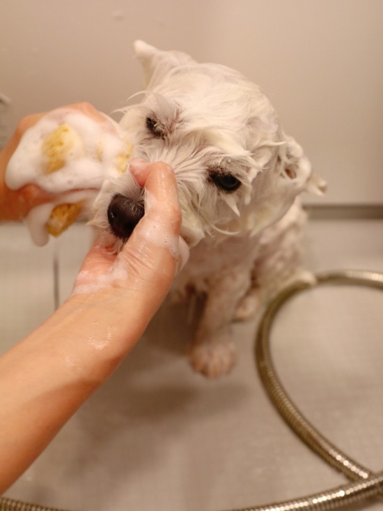 21-09-23-13-25-54-072_deco