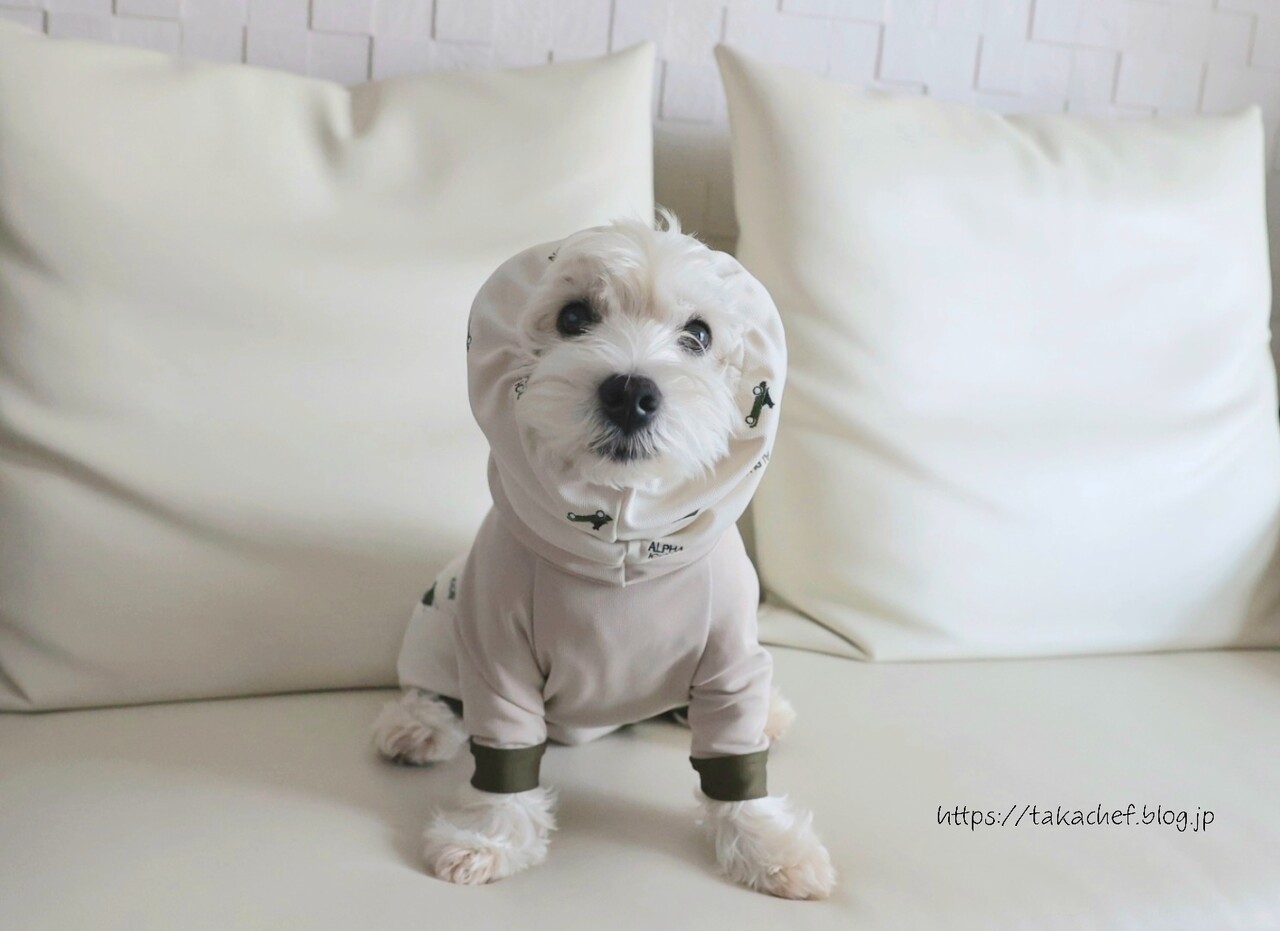 ピッタリサイズのお洋服がない件 : たかシェフのおうちごはん。と