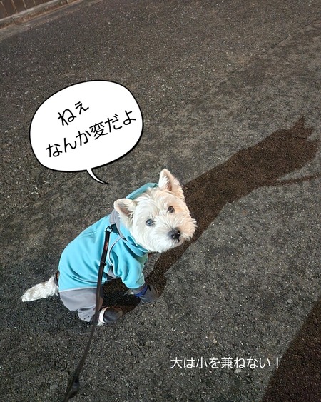 大は小を兼ねない事例