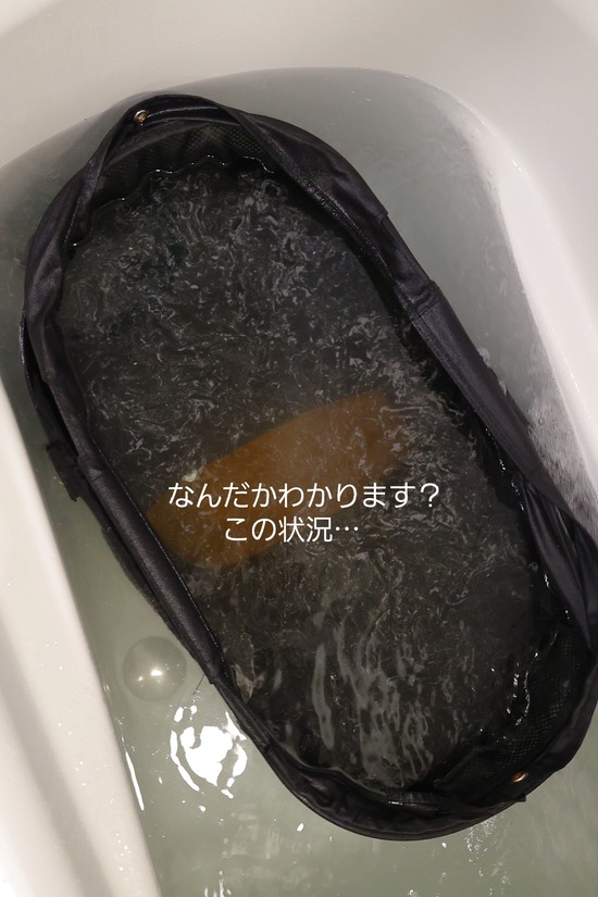   エアーバギーを洗ってみた結果