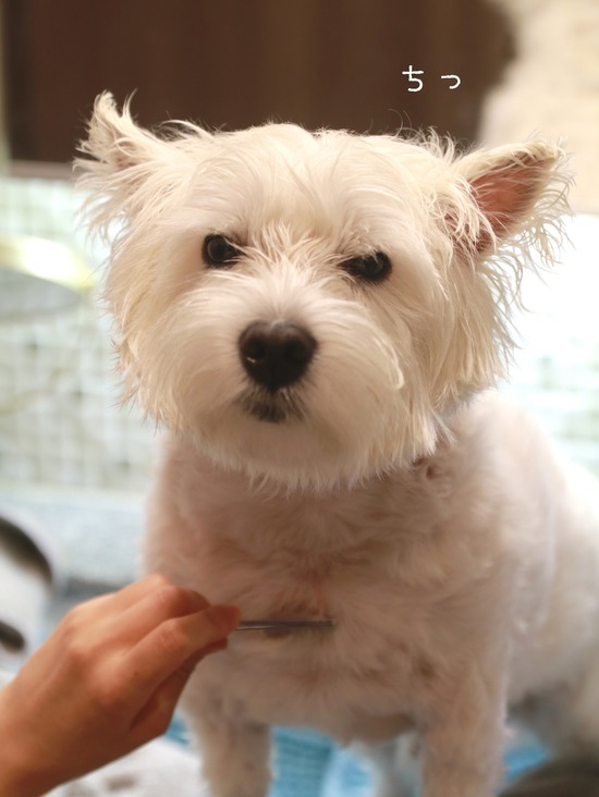 21-08-27-06-33-13-529_deco