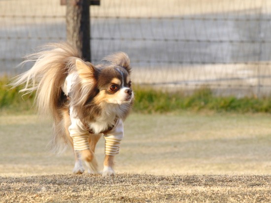 21-12-02-20-24-01-700_deco