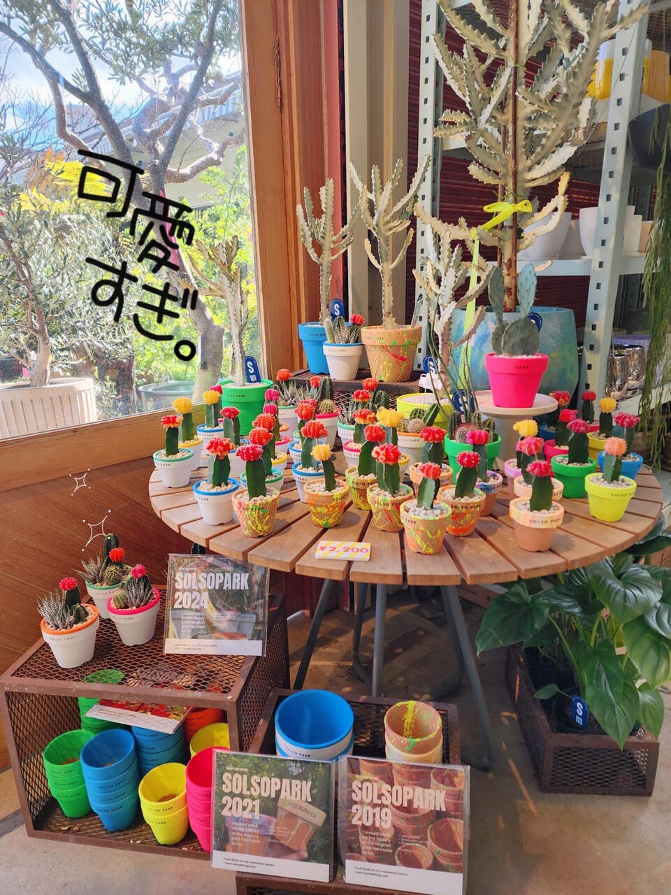 住所は、港区南青山…。まさかの素敵空間発見 SOLSO PARK その② : たか