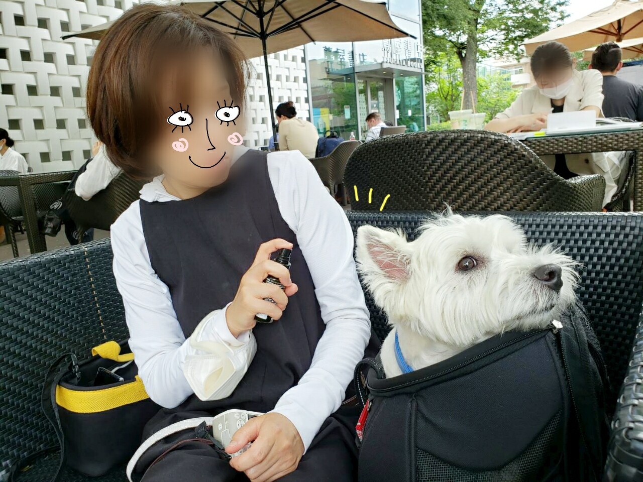 蚊対策 たかシェフのおうちごはん と 白い犬 と チワワ Powered By ライブドアブログ 蚊対策 たかシェフのおうちごはん と 白い犬 と チワワ Powered By ライブドアブログ