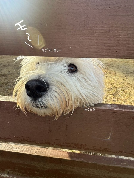 25-11-24-11-27-56-920_deco