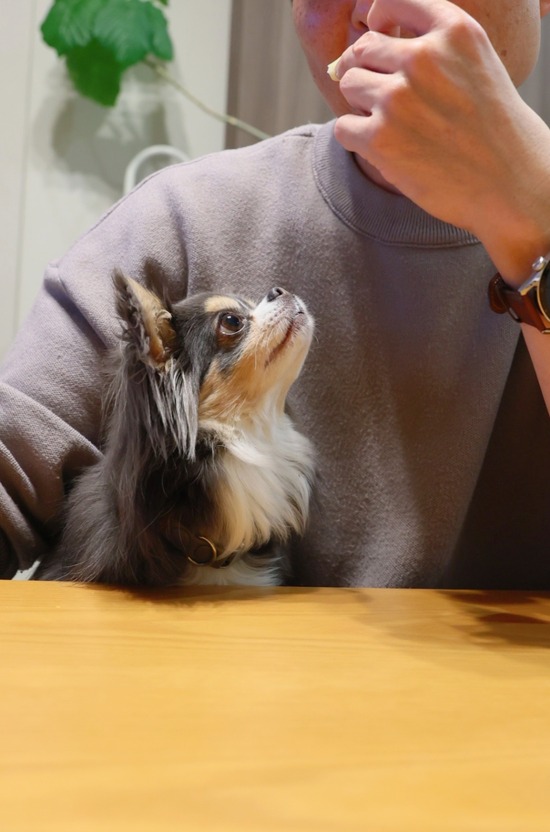 23-03-04-12-37-28-622_deco