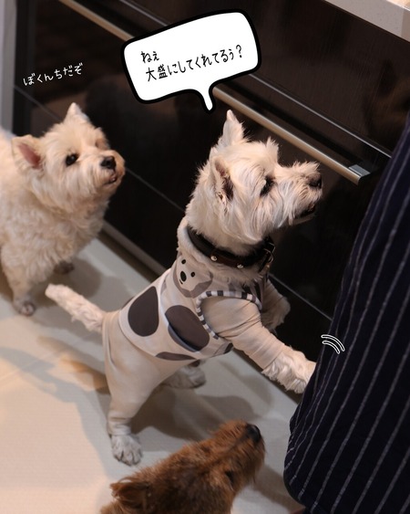 26-01-07-11-40-10-597_deco