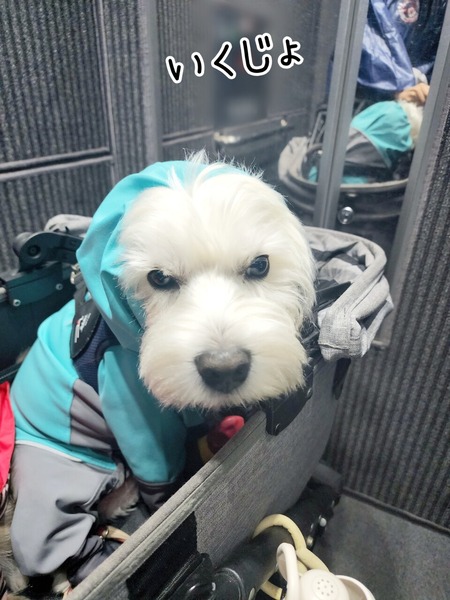 22-10-13-18-46-58-900_deco