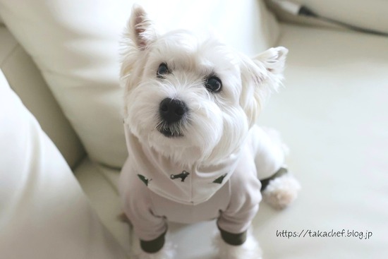 おニューのお洋服。