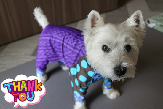 かっこいい！お洋服で、旅にでるぞ！！