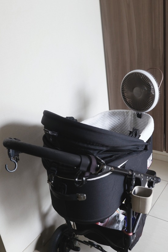 25-04-25-12-54-09-643_deco