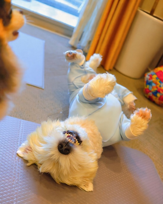 最近の戦いをインスタにあげました。