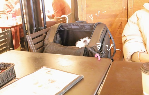 20-01-09-20-18-30-701_deco