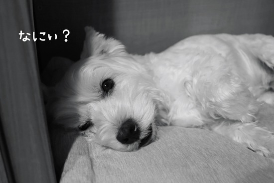 24-12-14-06-20-48-413_deco