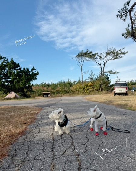 25-11-24-11-23-31-696_deco