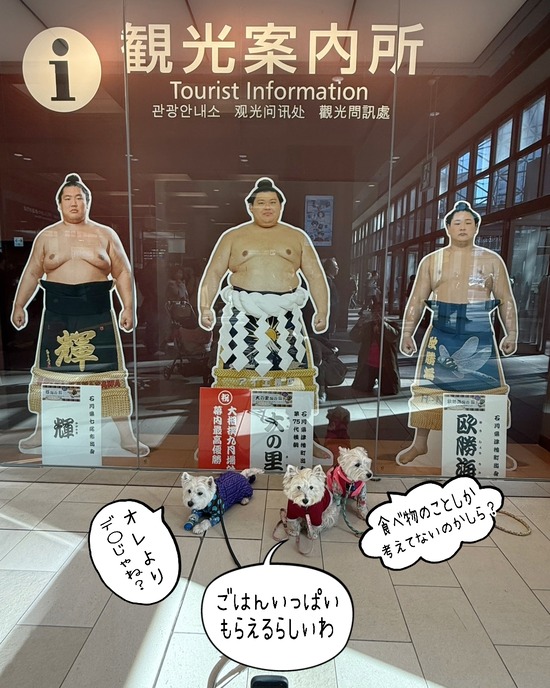 25-11-29-10-08-18-800_deco