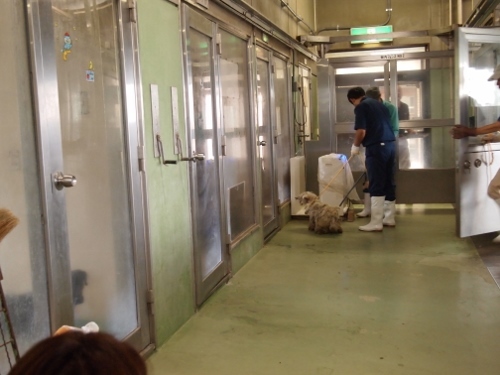 たかシェフのおうちごはん。　　　　　