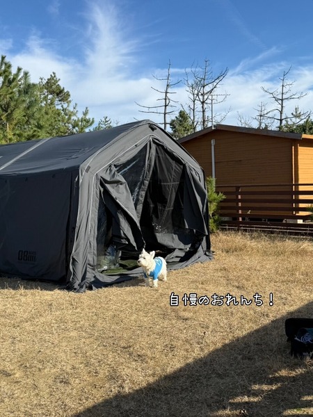 25-11-30-21-23-32-327_deco