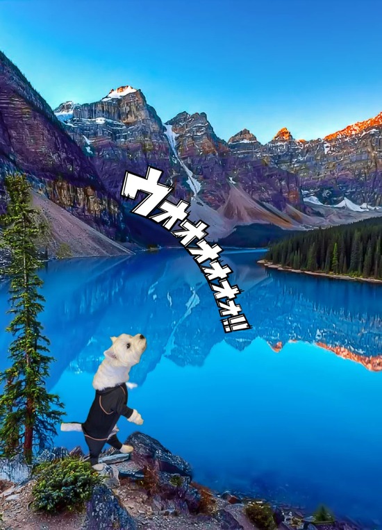 23-04-20-18-41-59-521_deco