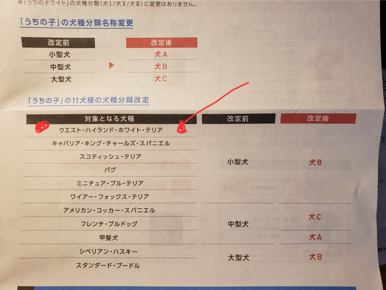 犬グッズ】ペット保険。値上がりしたなぁ～<(｀^´)> : たかシェフのおうちごはん。と、白い犬。と、チワワ。 Powered by ライブドアブログ