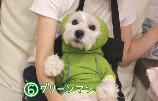 22-06-30-21-00-14-551_deco