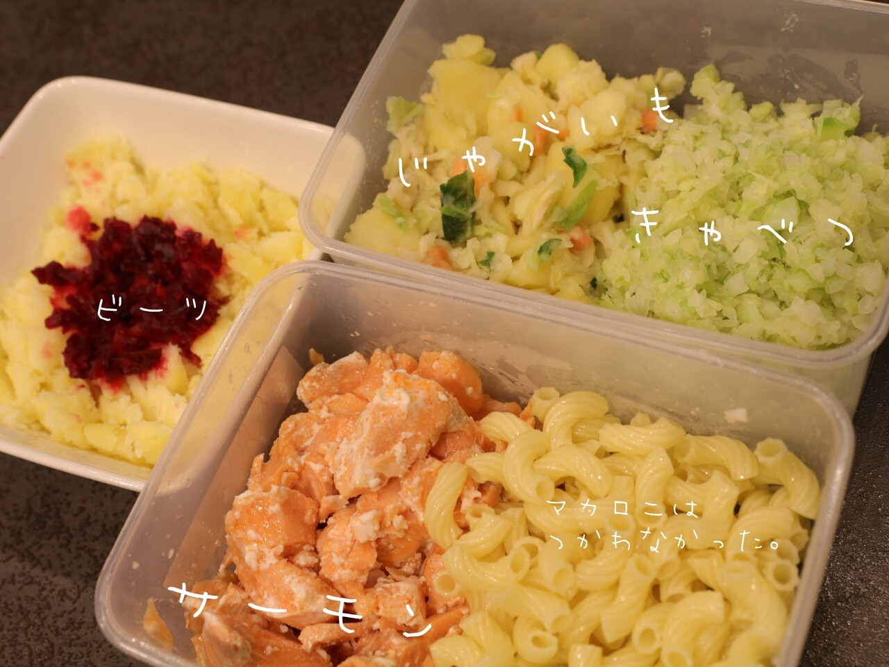 朝ごはん 犬も サーモン じゃがいもごはん 飼い主も サーモン じゃがいもごはん たかシェフのおうちごはん と 白い犬 と チワワ Powered By ライブドアブログ