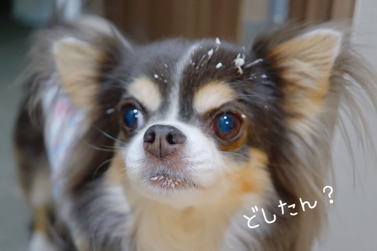 がんばれ！まりちゃん