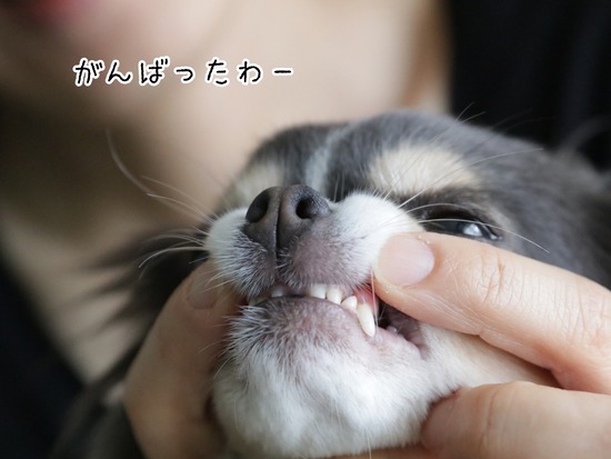 21-05-06-16-20-57-922_deco