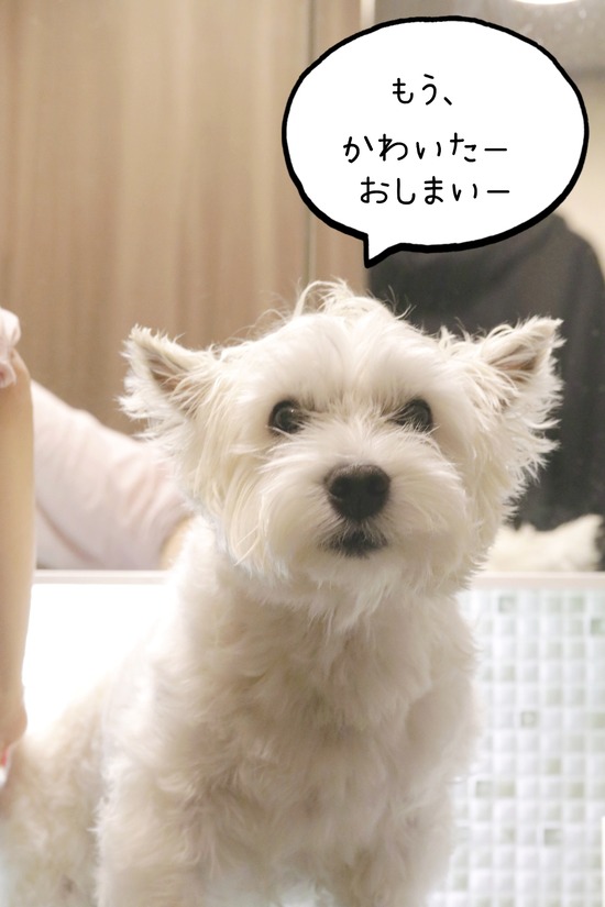 21-12-08-13-58-29-662_deco