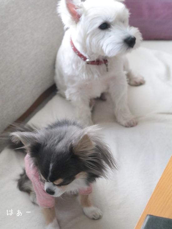 21-02-16-15-56-08-551_deco