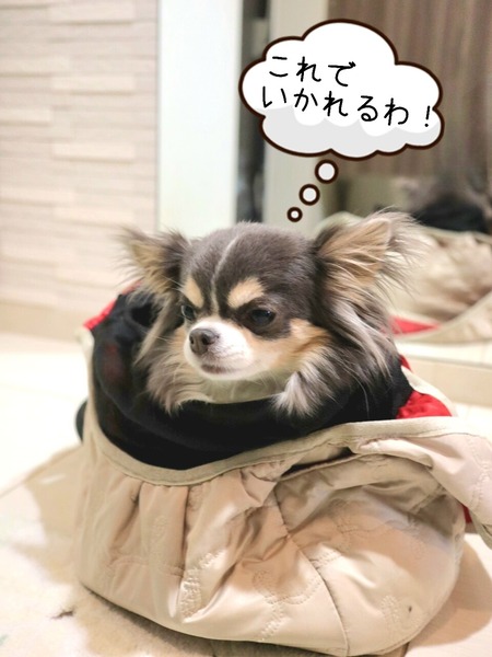 23-12-15-10-33-25-011_deco