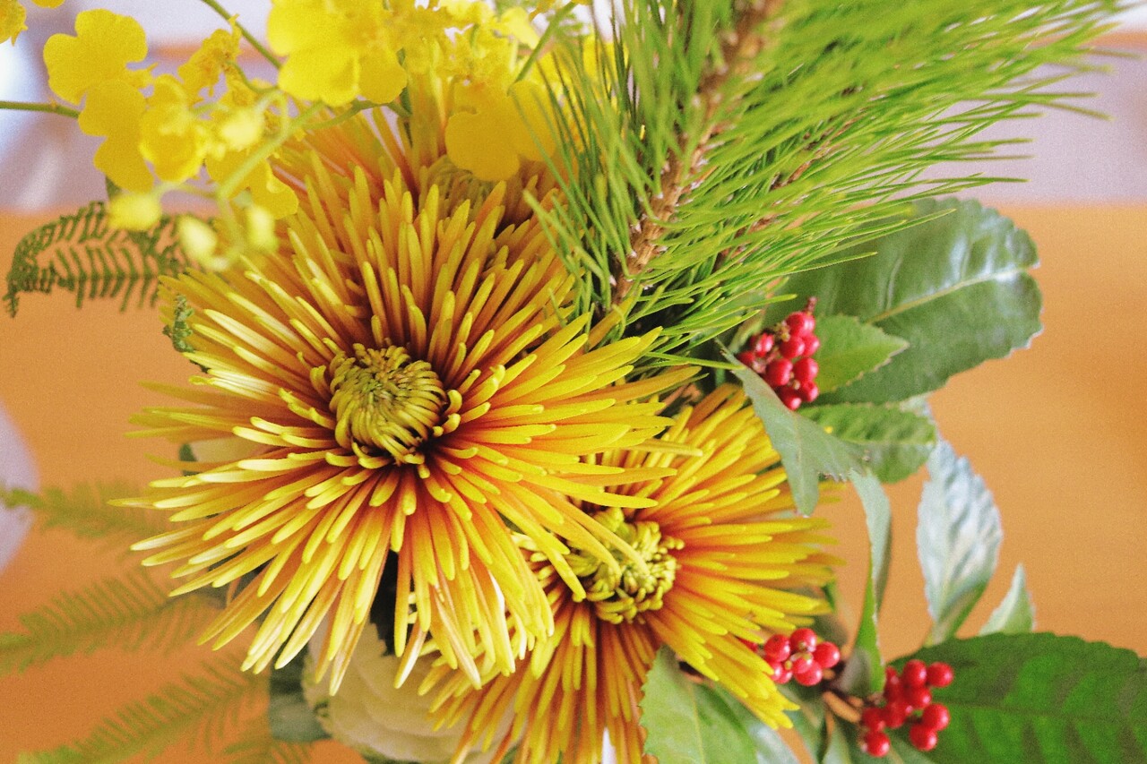 日記 お気に入りのお花屋さんへ Fuga たかシェフのおうちごはん と 白い犬 と チワワ Powered By ライブドアブログ 日記 お気に入りのお花屋さんへ Fuga たかシェフのおうちごはん と 白い犬 と チワワ Powered By ライブドアブログ